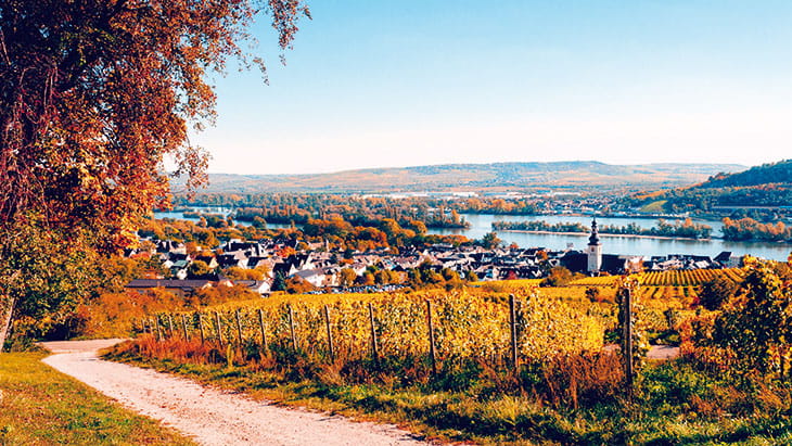 The Rhine in Autumn